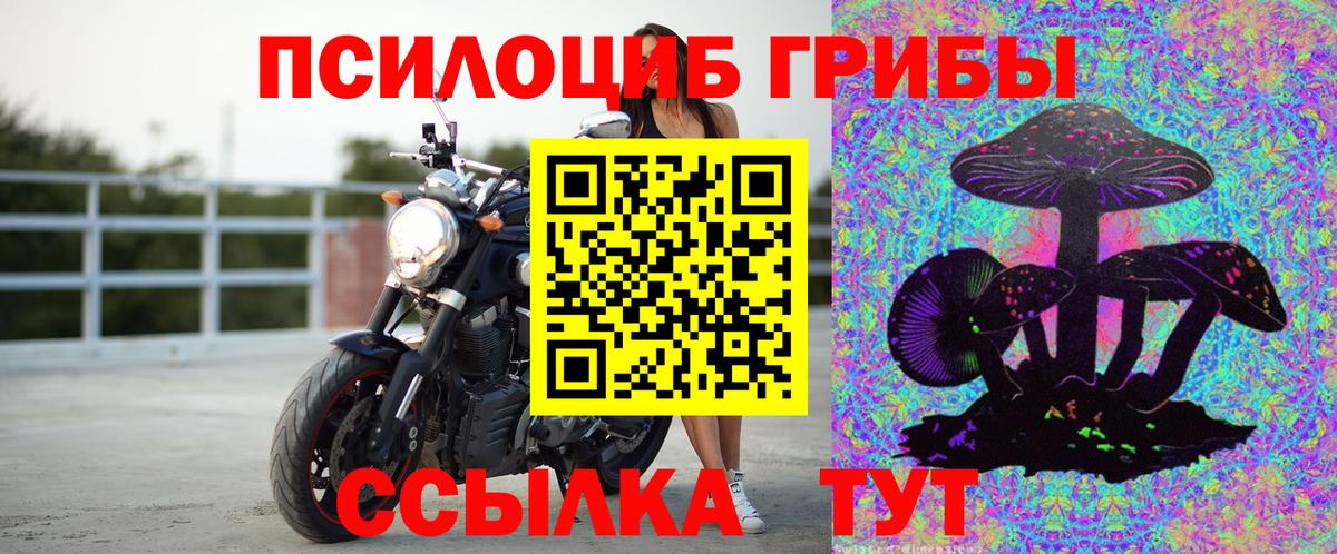 Галлюциногенные грибы Magic Shrooms Оренбург